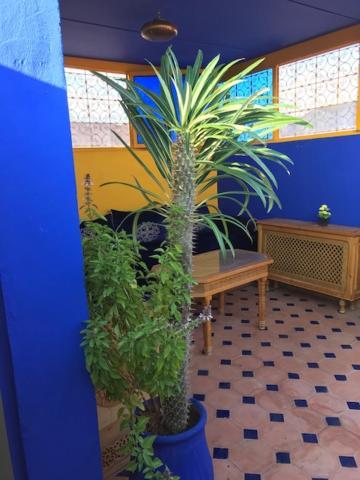Authentic Moroccan Charm Apartment In Marrakech Terrace Marrakesch Exterior foto
