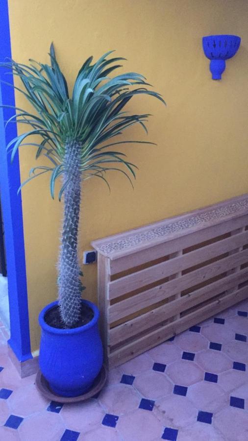 Authentic Moroccan Charm Apartment In Marrakech Terrace Marrakesch Exterior foto